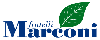 Logo Marconi